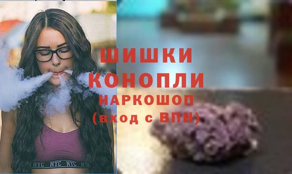 тгк Богородск