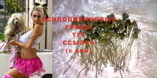 соль курить ск Гвардейск