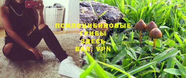 тгк Богородск