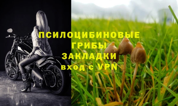 дурь Богданович