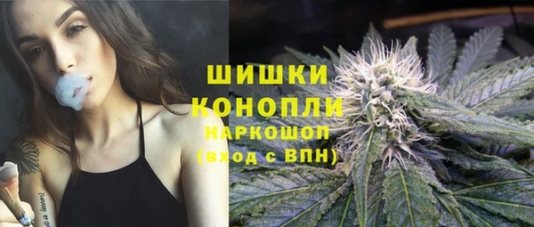 дурь Богданович