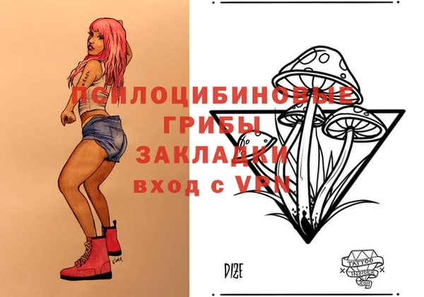 дурь Богданович
