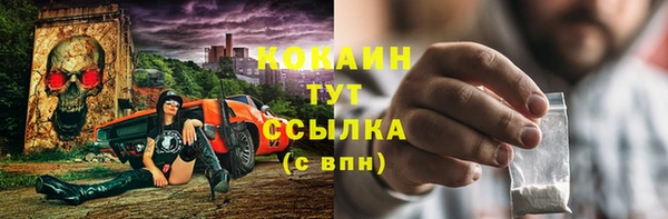 тгк Богородск