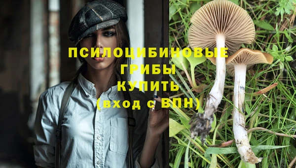 дурь Богданович