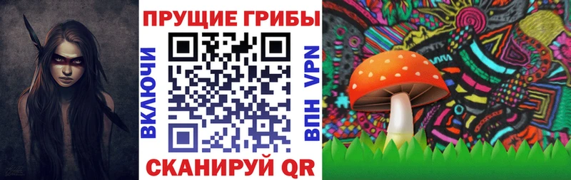мориарти Telegram  где найти наркотики  Светогорск  Псилоцибиновые грибы MAGIC MUSHROOMS  MEGA маркетплейс 